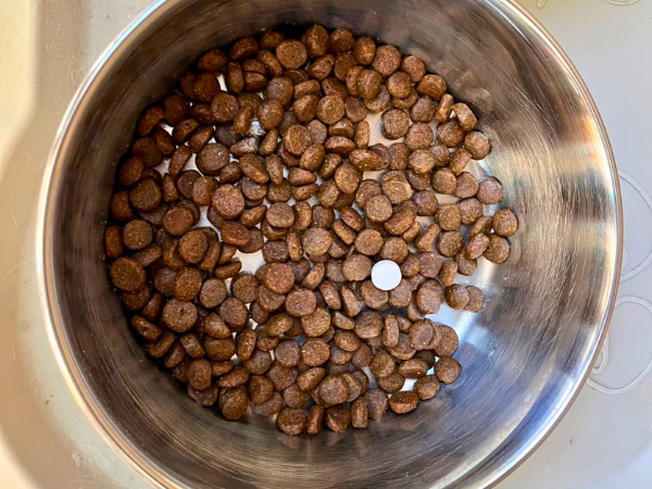 Cobalequin for Dogs Explained Uses, Benefits, and Safety Tips photo