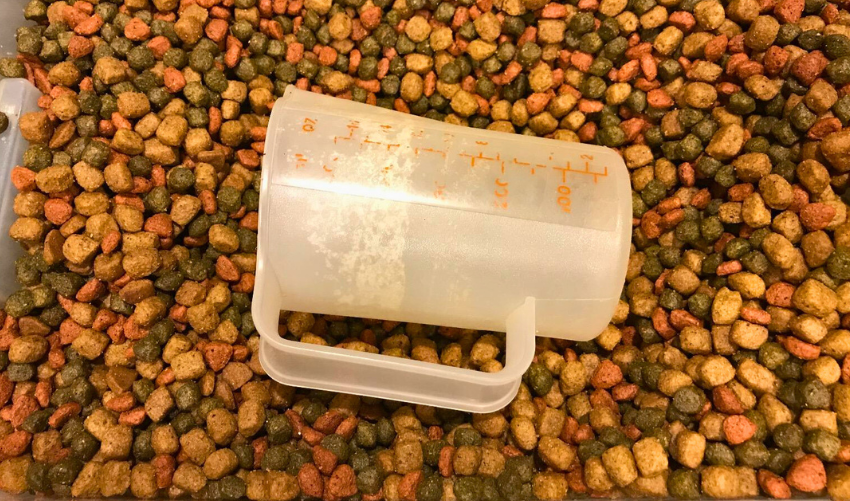 Cups in a Pound of Dry Dog Food photo
