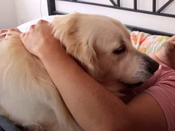 Dogs Love to Lay on Their Owners photo 1
